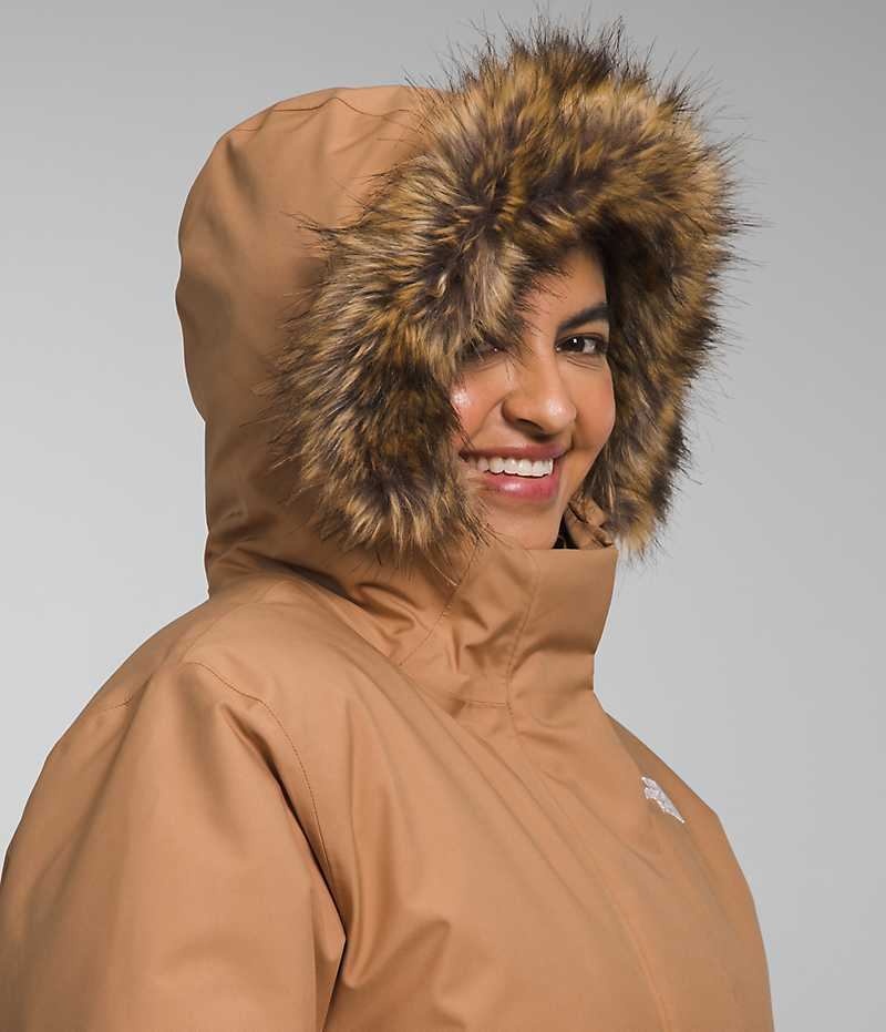 Brown Women's The North Face Plus Arctic Coat | IRELAND BKXE