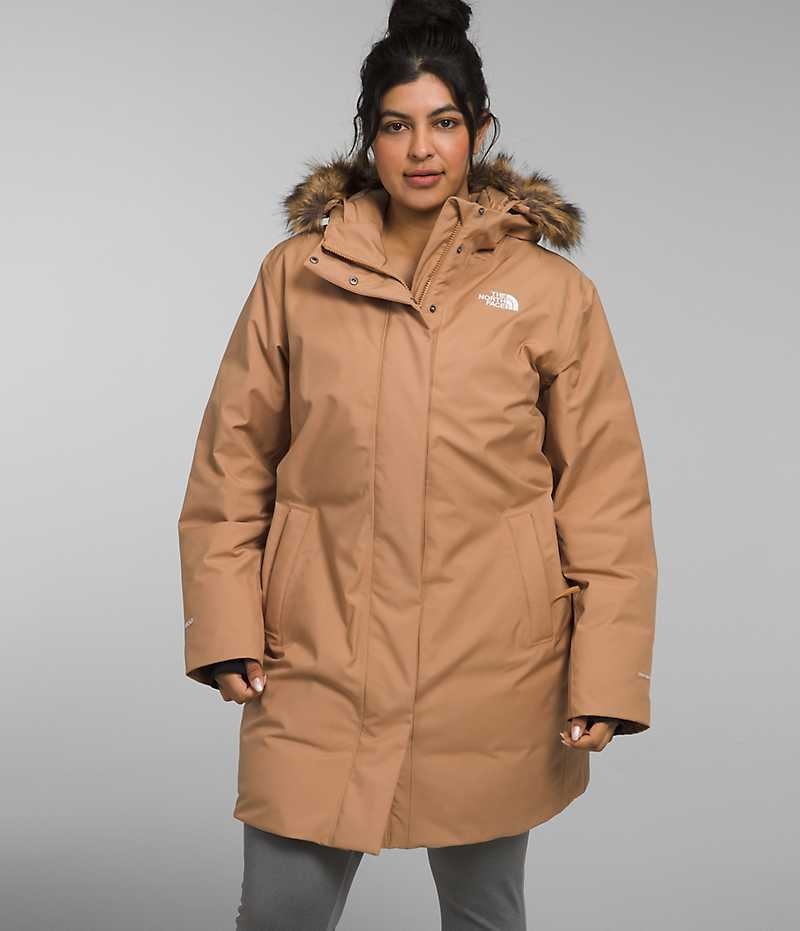 Brown Women\'s The North Face Plus Arctic Coat | IRELAND BKXE