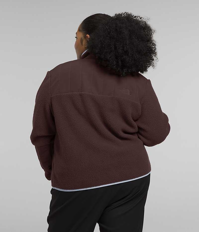 Brown Women's The North Face Plus Cragmont Fleece Jacket | DUBLIN MLUD