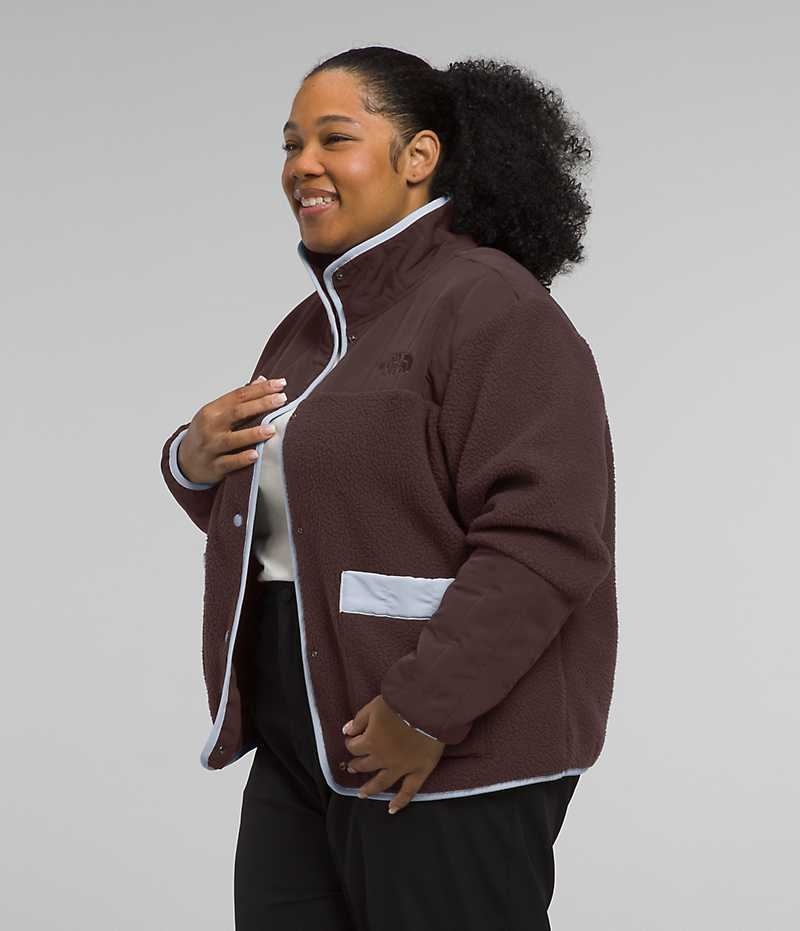 Brown Women's The North Face Plus Cragmont Fleece Jacket | DUBLIN MLUD