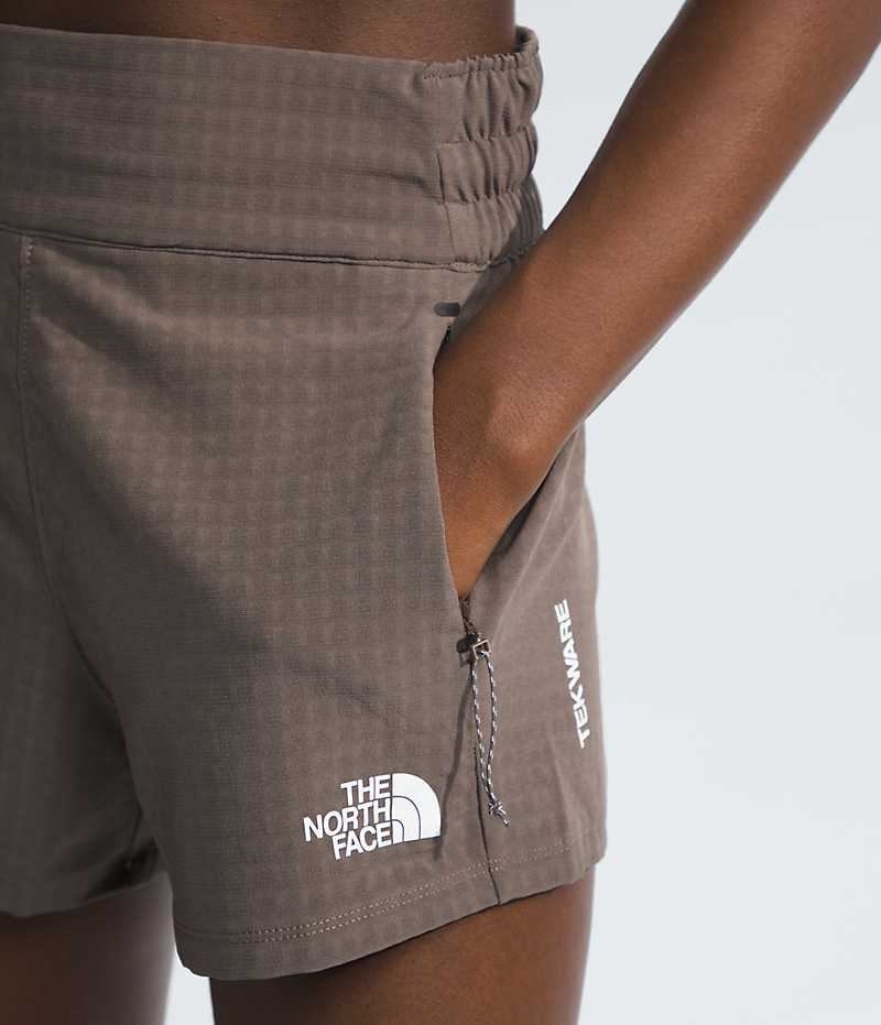 Brown Women's The North Face Tekware™ Grid Shorts | DUBLIN VPZT