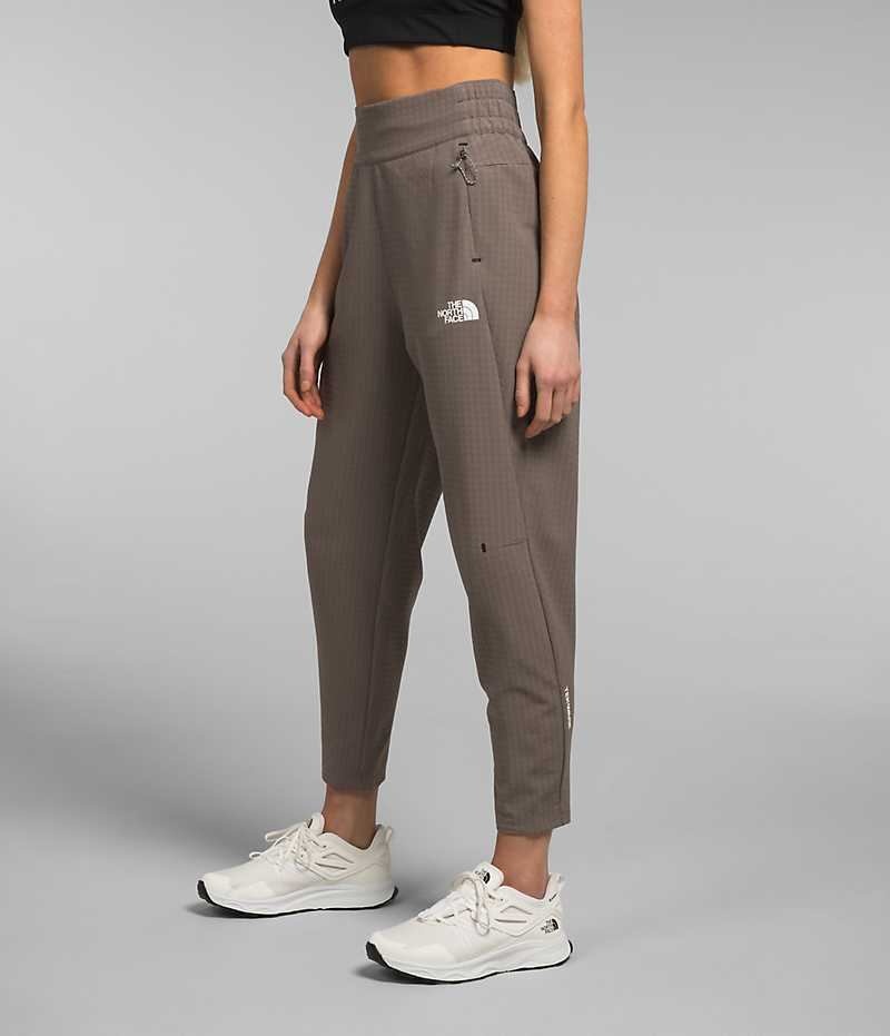 Brown Women's The North Face Tekware™ Grid Fleece Pants | DUBLIN CJQL