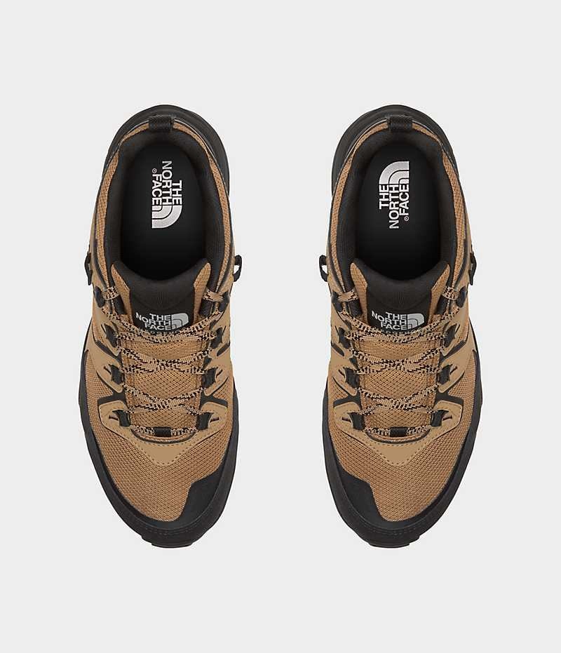 Brown / Black Men's The North Face Hedgehog 3 Waterproof Hiking Shoes | IRELAND LVGB