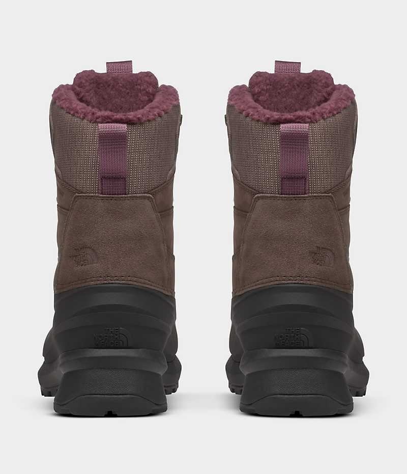 Brown / Black Women's The North Face Chilkat V 400 Waterproof Winter Boots | DUBLIN AEXT