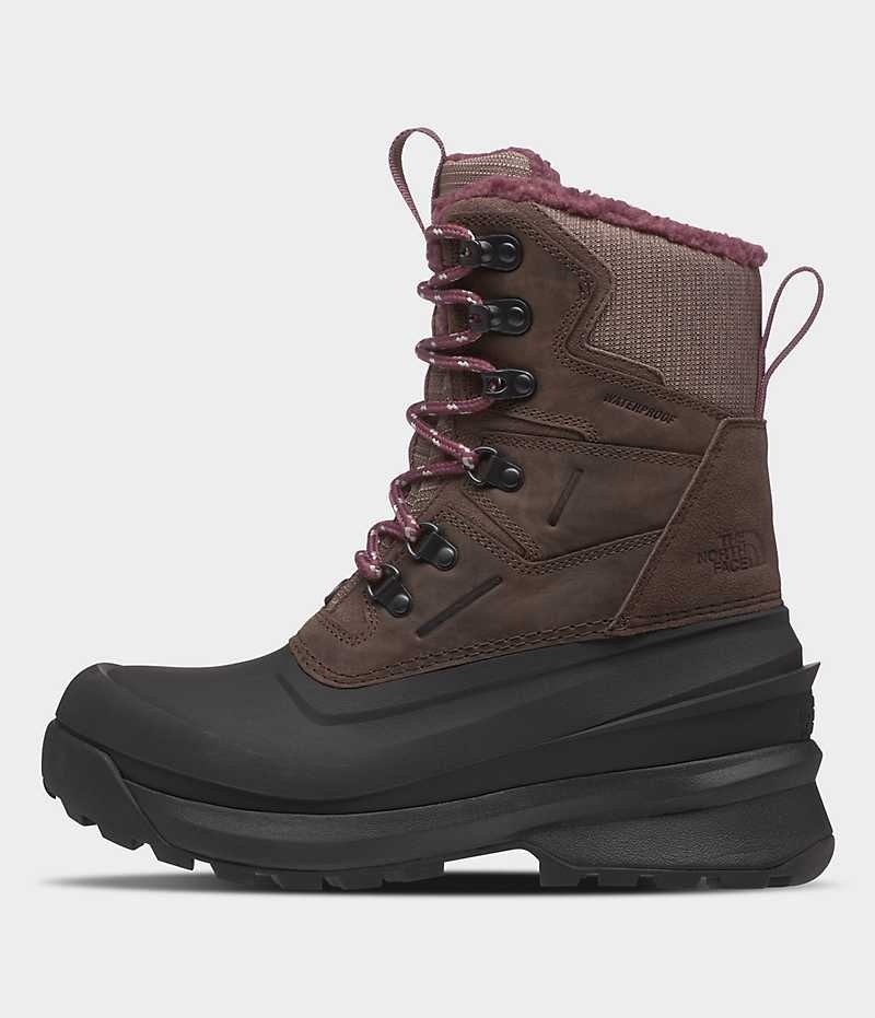 Brown / Black Women\'s The North Face Chilkat V 400 Waterproof Winter Boots | DUBLIN AEXT