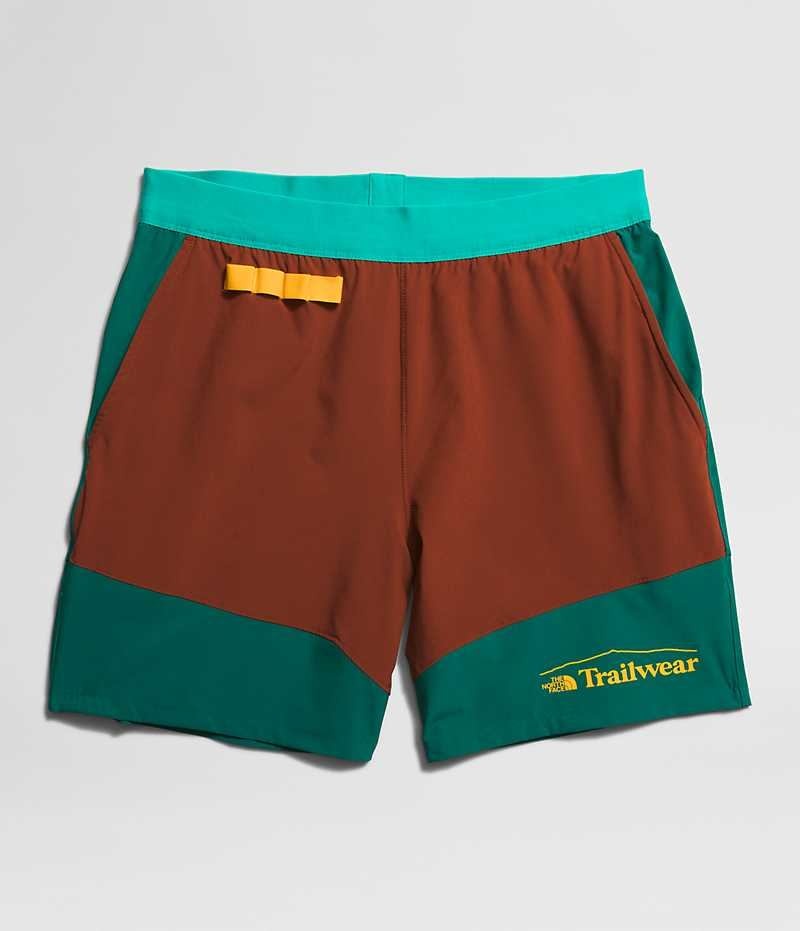 Brown / Turquoise Men's The North Face Trailwear OKT Trail Shorts | DUBLIN KOGI