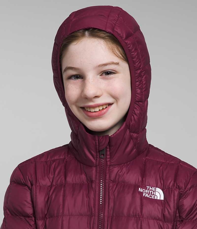 Burgundy Girls'' The North Face ThermoBall™ Coat | IRELAND ZGXY