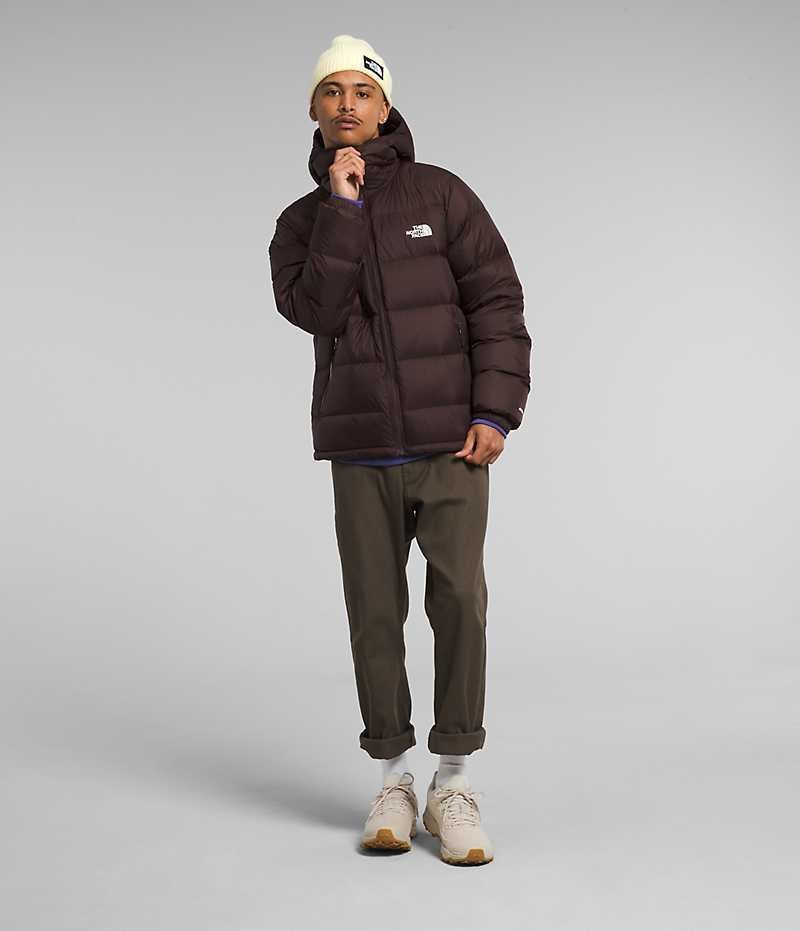 Burgundy Men's The North Face Hydrenalite™ Hoodie Puffer Jacket | IRELAND VLUP