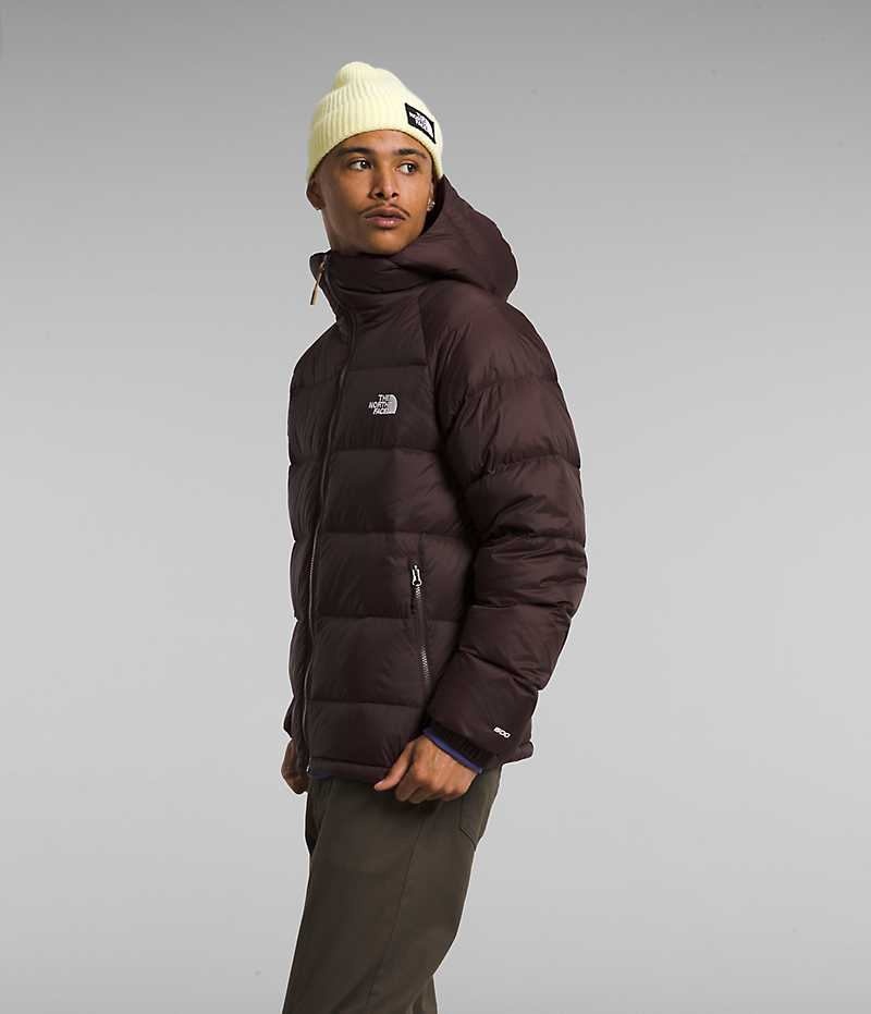 Burgundy Men's The North Face Hydrenalite™ Hoodie Puffer Jacket | IRELAND VLUP