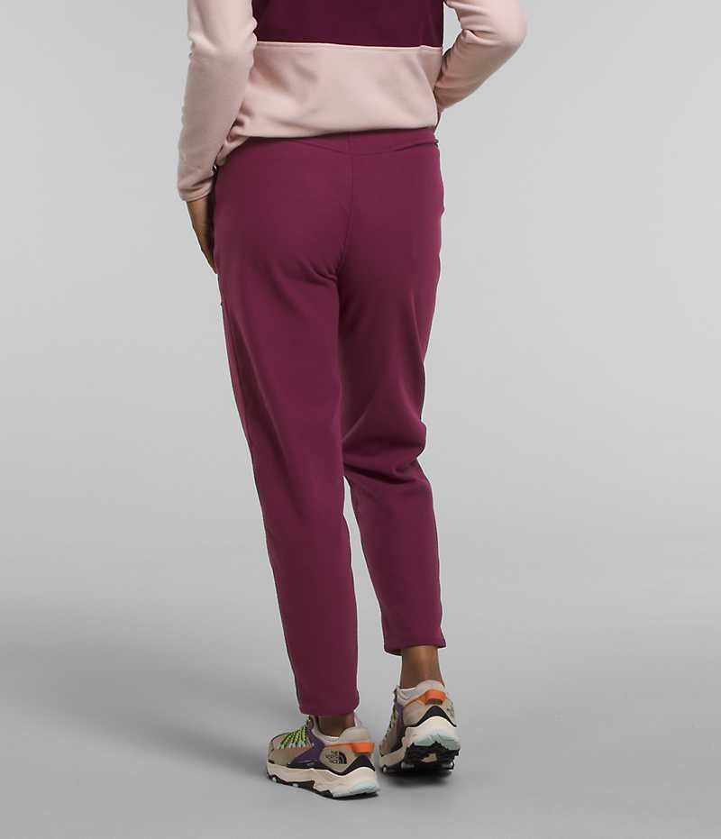 Burgundy Women's The North Face Alpine Polartec® 100 Fleece Pants | IRELAND ZSEL