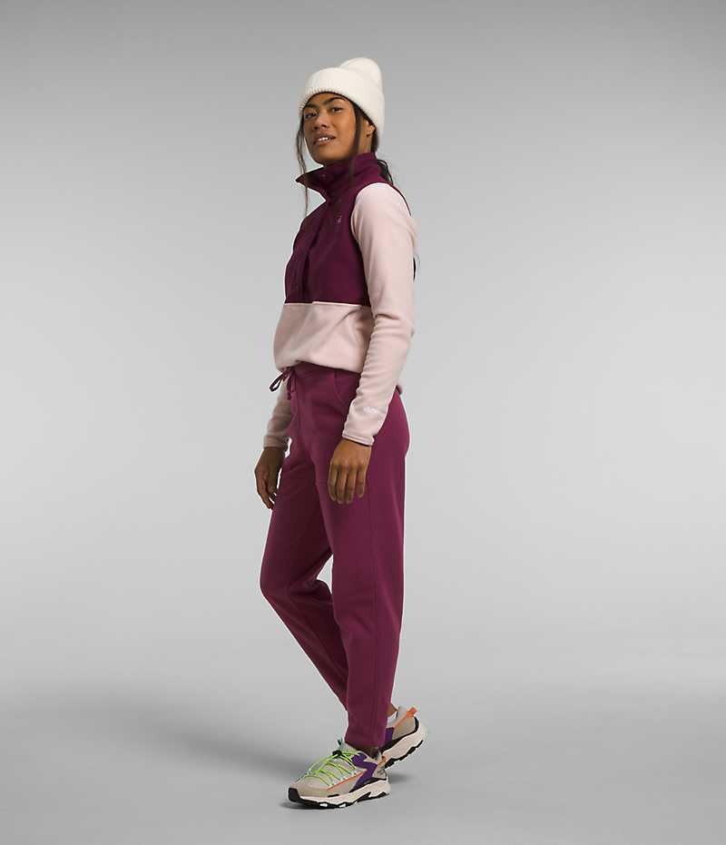 Burgundy Women's The North Face Alpine Polartec® 100 Fleece Pants | IRELAND ZSEL