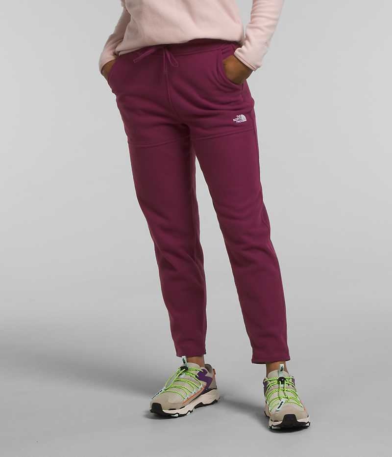 Burgundy Women\'s The North Face Alpine Polartec® 100 Fleece Pants | IRELAND ZSEL