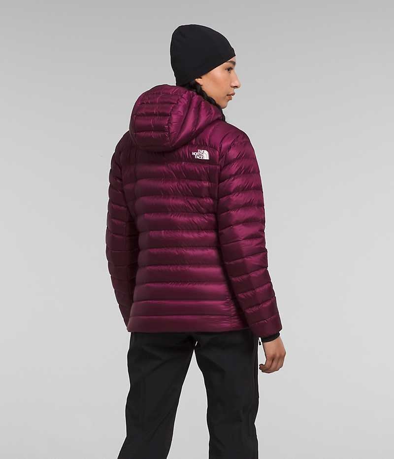 Burgundy Women's The North Face Summit Series Breithorn Hoodie Puffer Jacket | DUBLIN CRVL