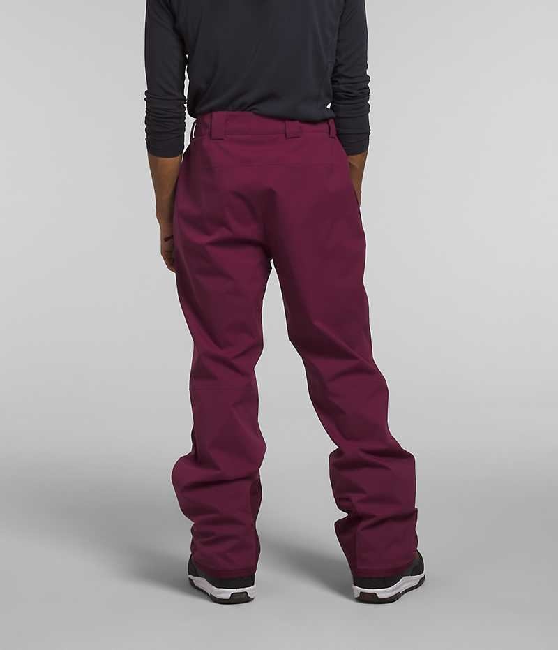 Fuchsia Men's The North Face Freedom Stretch Pants | IRELAND UESC