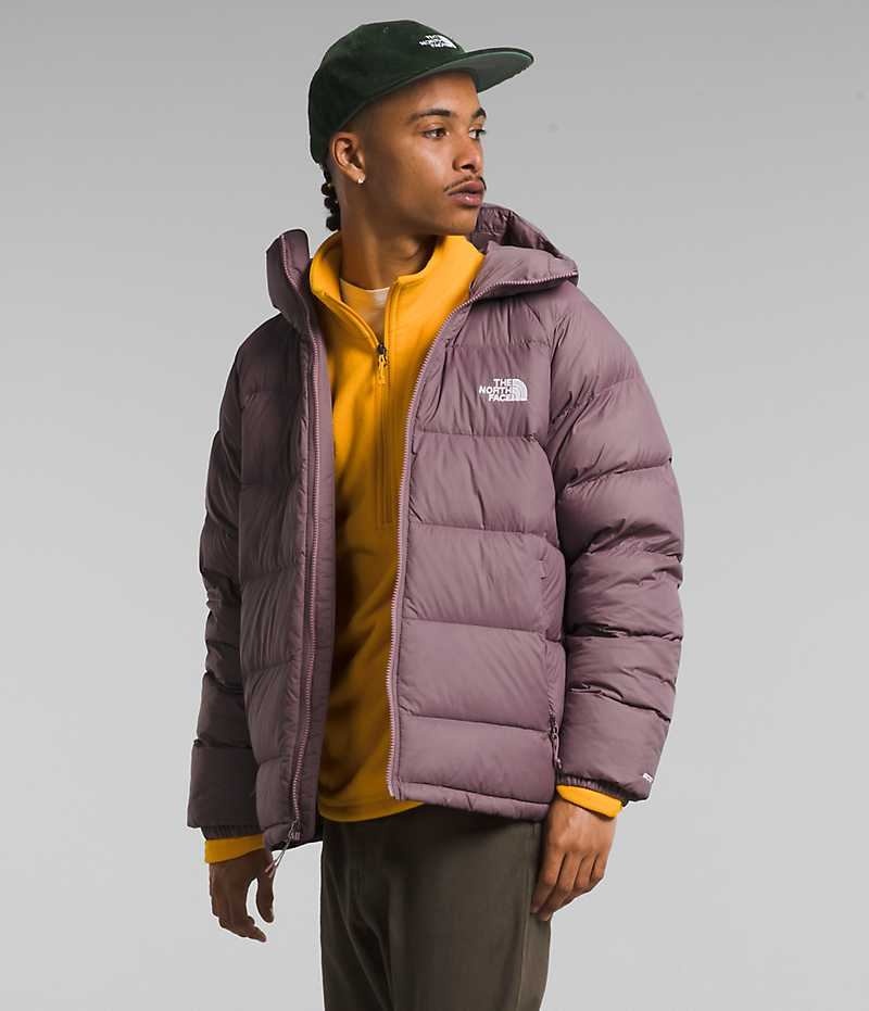 Fuchsia Men's The North Face Hydrenalite™ Hoodie Puffer Jacket | DUBLIN OZVQ