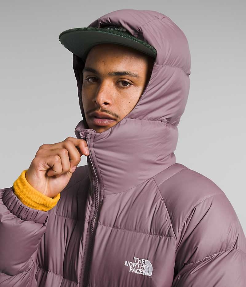 Fuchsia Men's The North Face Hydrenalite™ Hoodie Puffer Jacket | DUBLIN OZVQ