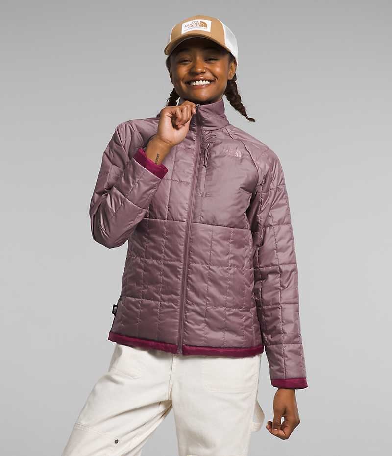 Fuchsia Women\'s The North Face Circaloft Puffer Jacket | DUBLIN ZUXF