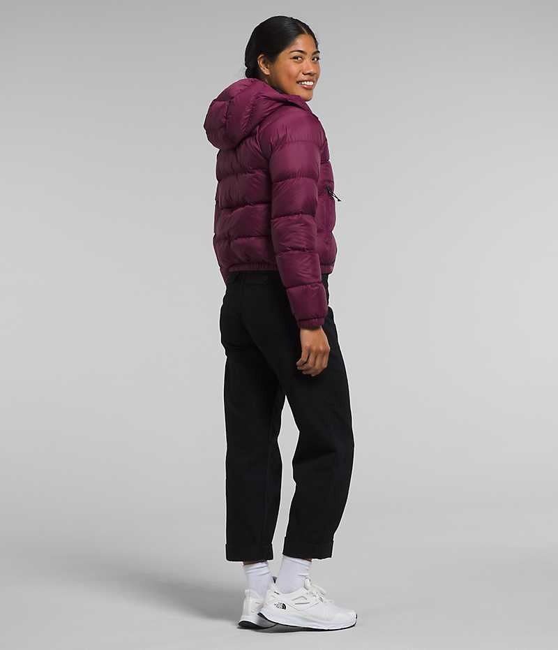 Fuchsia Women's The North Face Hydrenalite™ Puffer Jacket | IRELAND CHOY