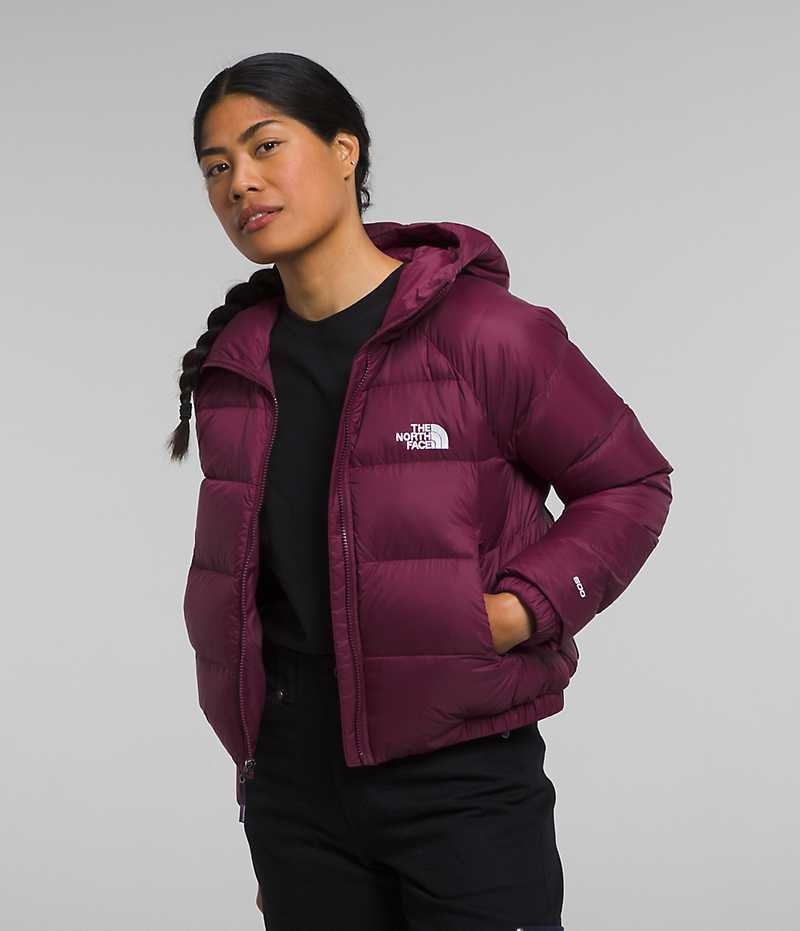 Fuchsia Women\'s The North Face Hydrenalite™ Puffer Jacket | IRELAND CHOY