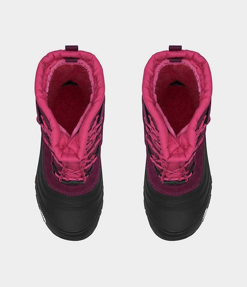 Fuchsia / Black Boys' The North Face Alpenglow V Waterproof Winter Boots | IRELAND PSIJ