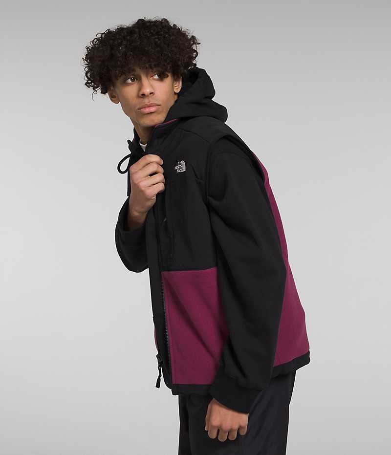 Fuchsia / Black Men's The North Face Denali Vest | DUBLIN ASMJ