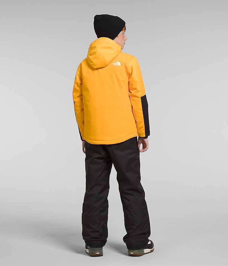 Gold Boys' The North Face Freedom Extreme Insulated Jacket | DUBLIN QIHW