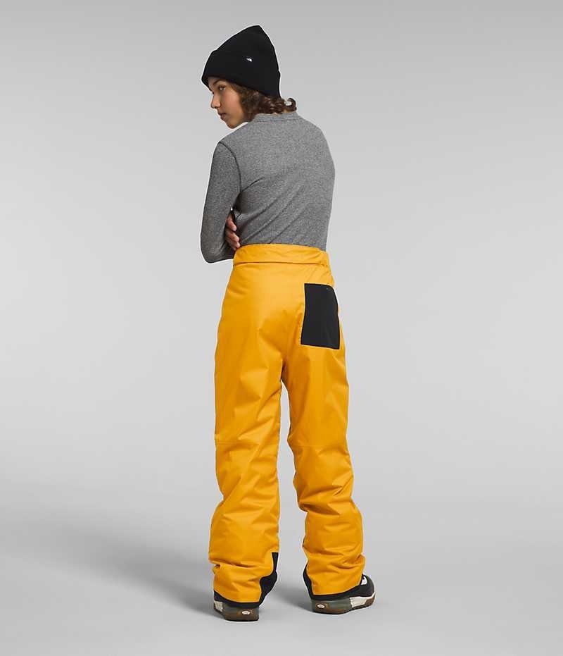 Gold Boys' The North Face Freedom Insulated Pants | IRELAND ODNW