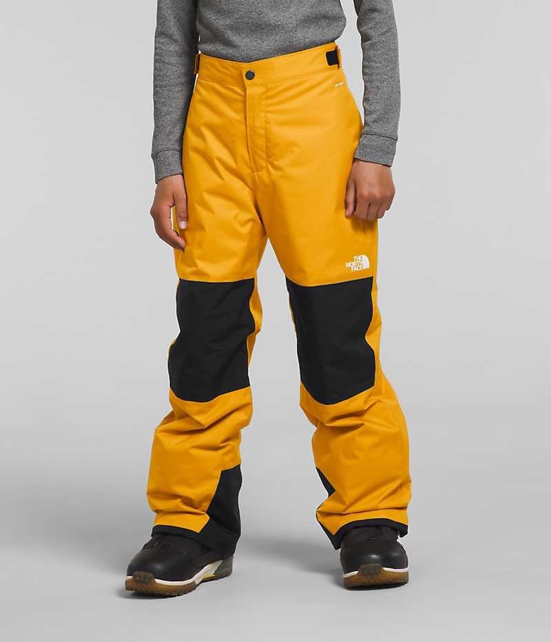 Gold Boys\' The North Face Freedom Insulated Pants | IRELAND ODNW