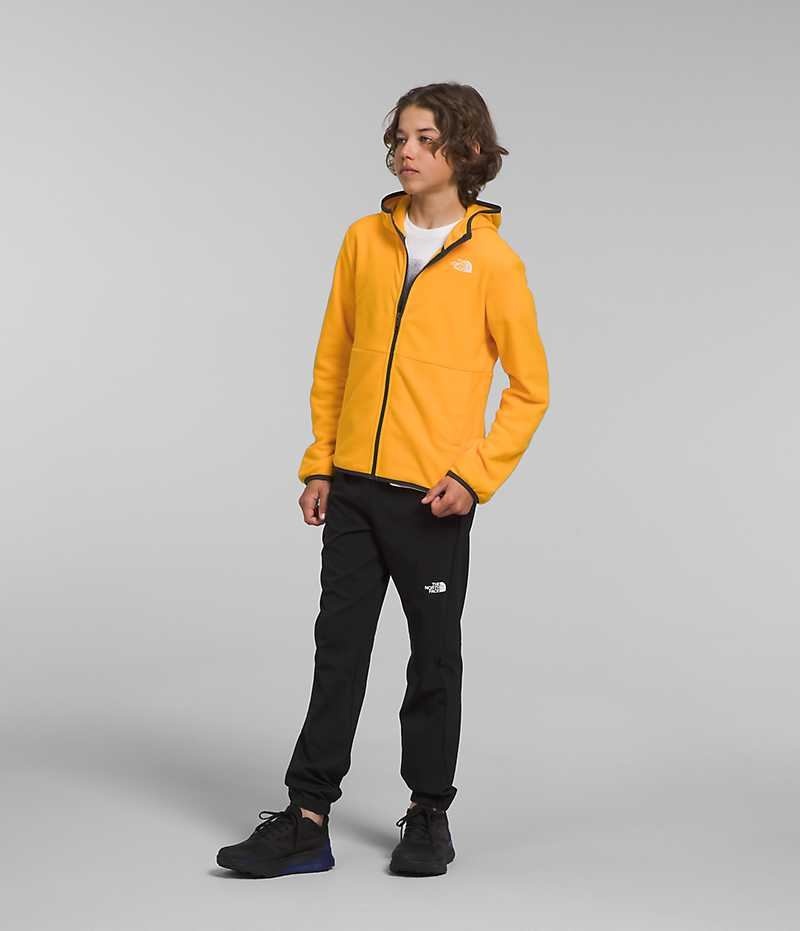 Gold Boys' The North Face Glacier Full-Zip Hooded Fleece Jacket | IRELAND ZKQJ