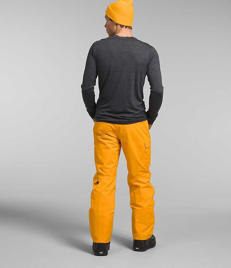 Gold Men's The North Face Freedom Pants | DUBLIN QFXU