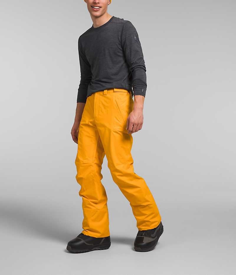 Gold Men's The North Face Freedom Pants | DUBLIN QFXU