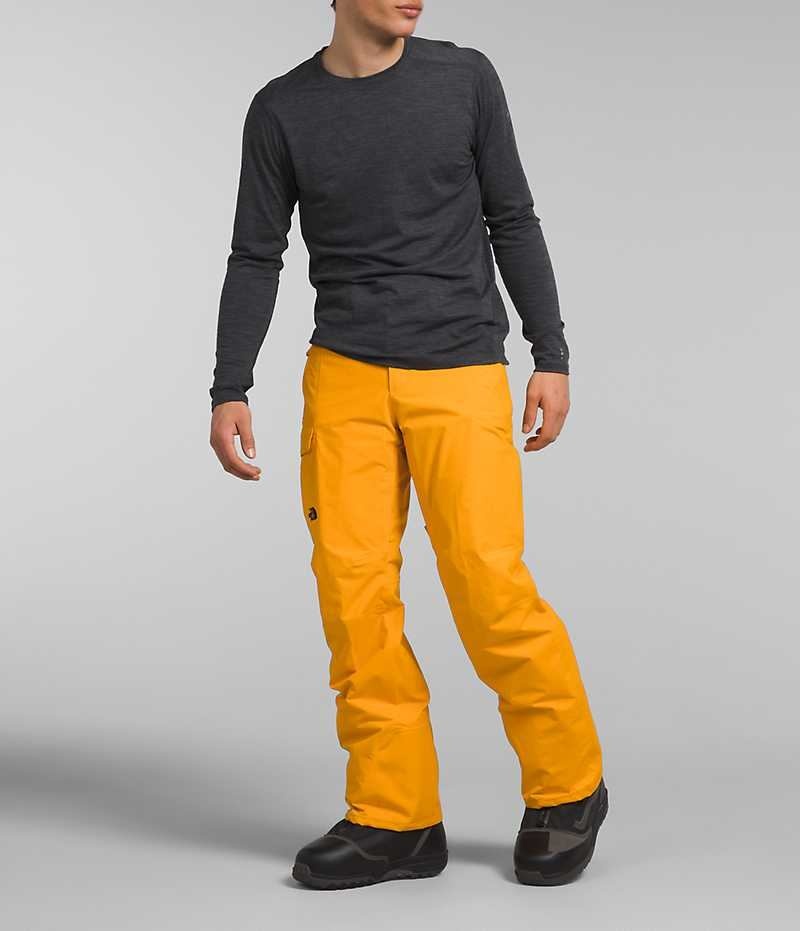 Gold Men\'s The North Face Freedom Pants | DUBLIN QFXU