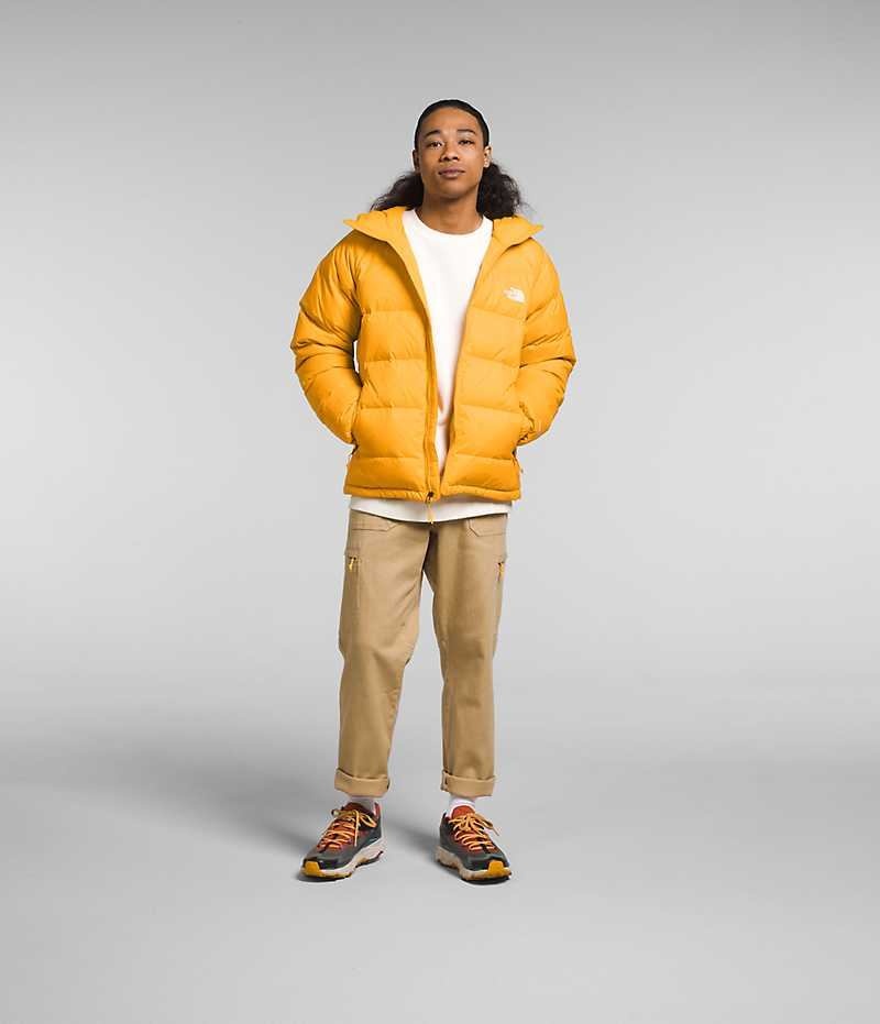 Gold Men's The North Face Hydrenalite™ Hoodie Puffer Jacket | DUBLIN SAKT