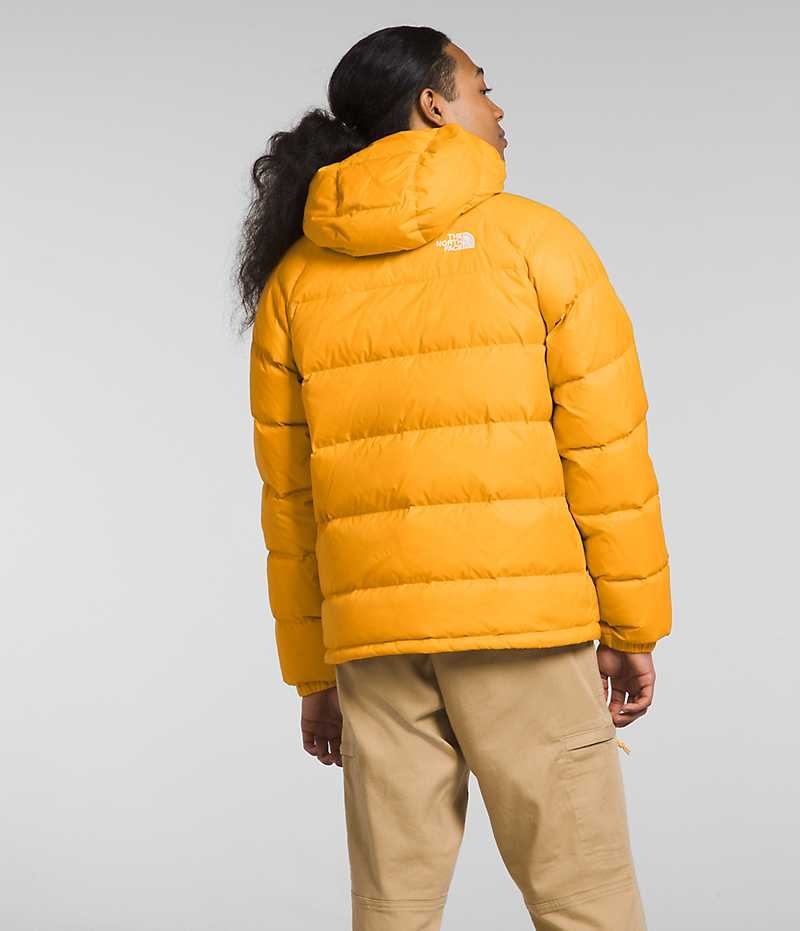 Gold Men's The North Face Hydrenalite™ Hoodie Puffer Jacket | DUBLIN SAKT