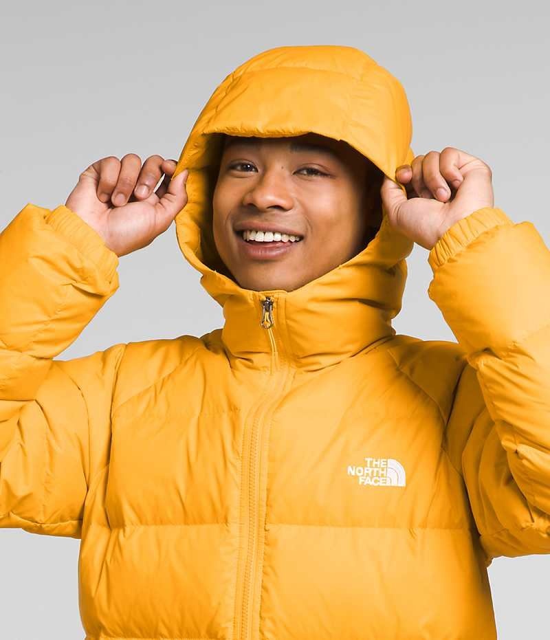 Gold Men's The North Face Hydrenalite™ Hoodie Puffer Jacket | DUBLIN SAKT