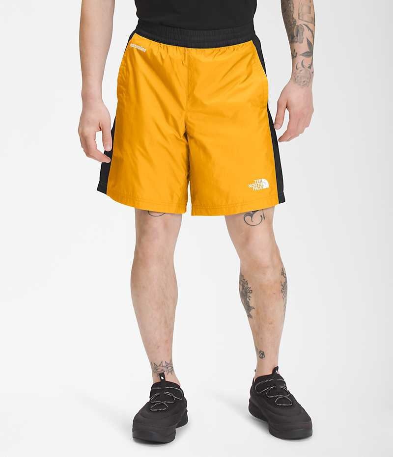 Gold / Black Men\'s The North Face Hydrenaline 2000 Shorts | IRELAND FEBU