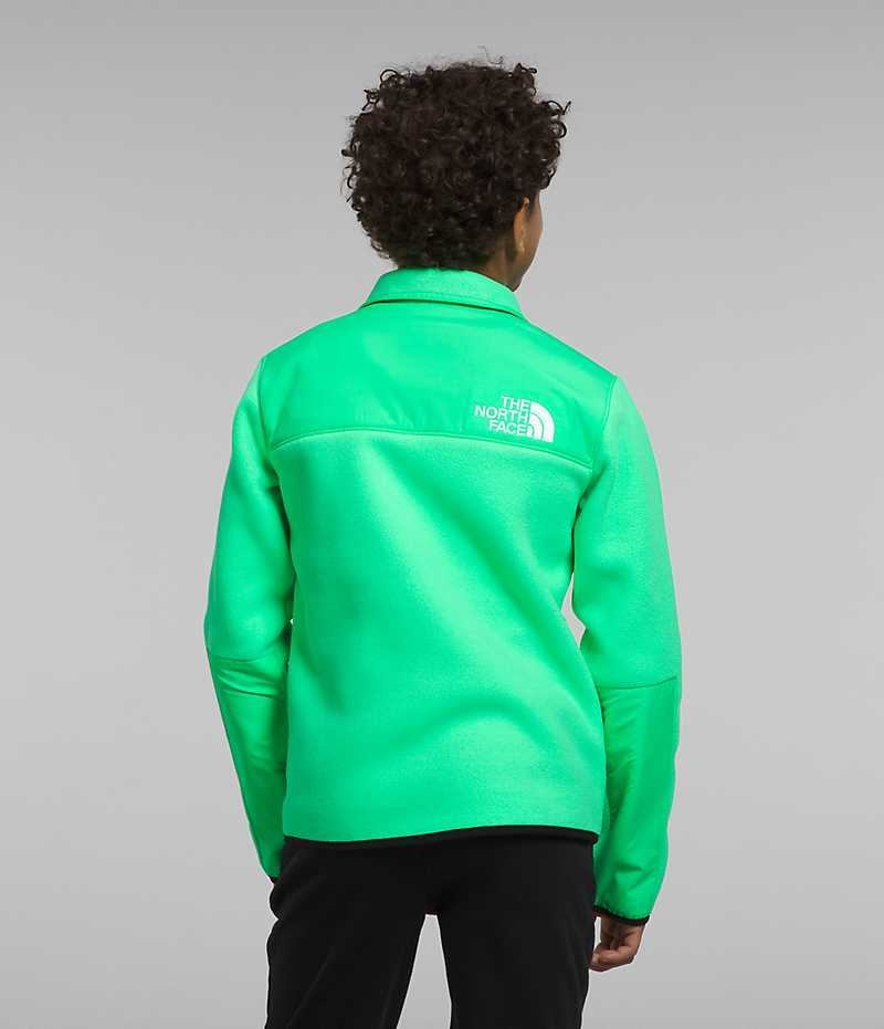 Green Boys' The North Face Denali Fleece Jacket | DUBLIN GLTX