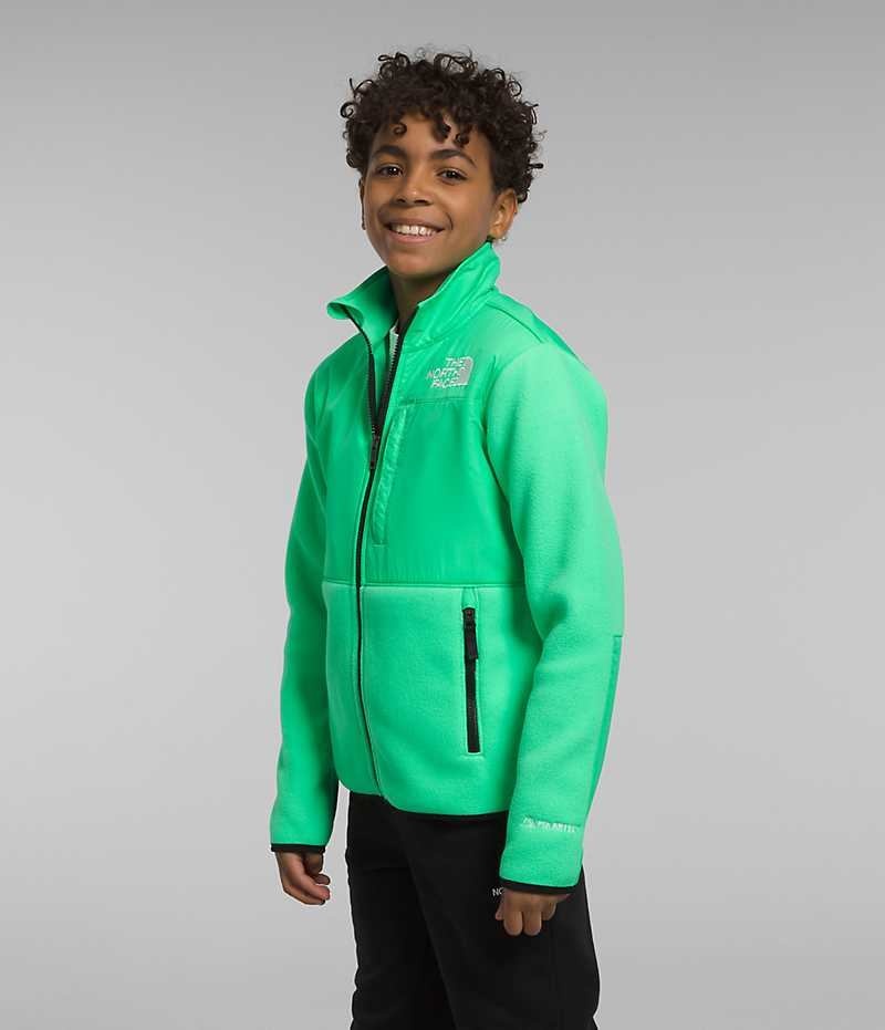 Green Boys' The North Face Denali Fleece Jacket | DUBLIN GLTX