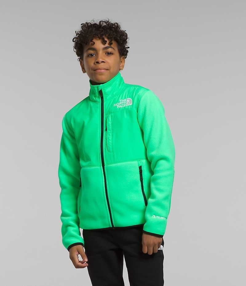 Green Boys\' The North Face Denali Fleece Jacket | DUBLIN GLTX