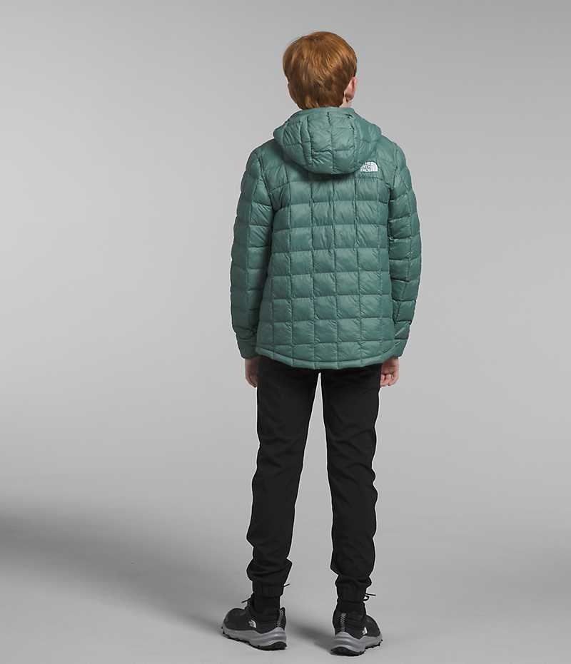 Green Boys' The North Face ThermoBall™ Hooded Puffer Jacket | IRELAND ULIW