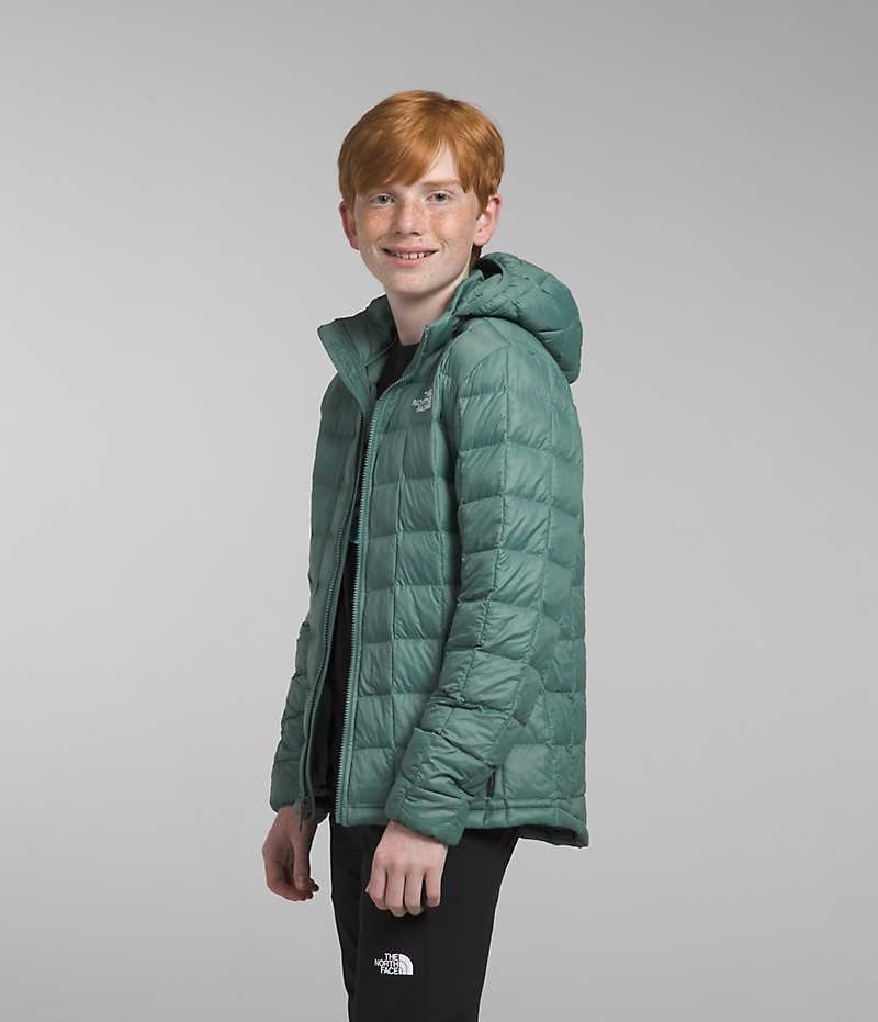 Green Boys' The North Face ThermoBall™ Hooded Puffer Jacket | IRELAND ULIW