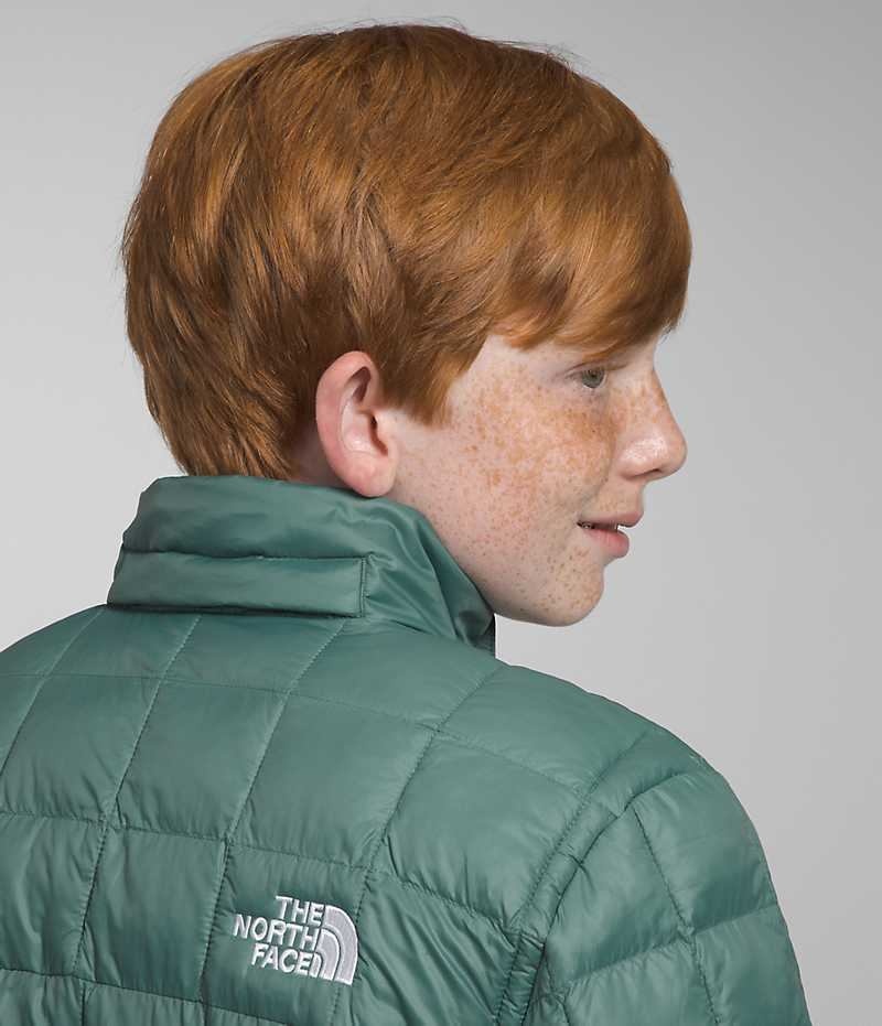 Green Boys' The North Face ThermoBall™ Hooded Puffer Jacket | IRELAND ULIW