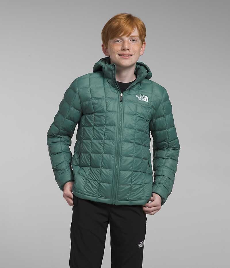 Green Boys\' The North Face ThermoBall™ Hooded Puffer Jacket | IRELAND ULIW