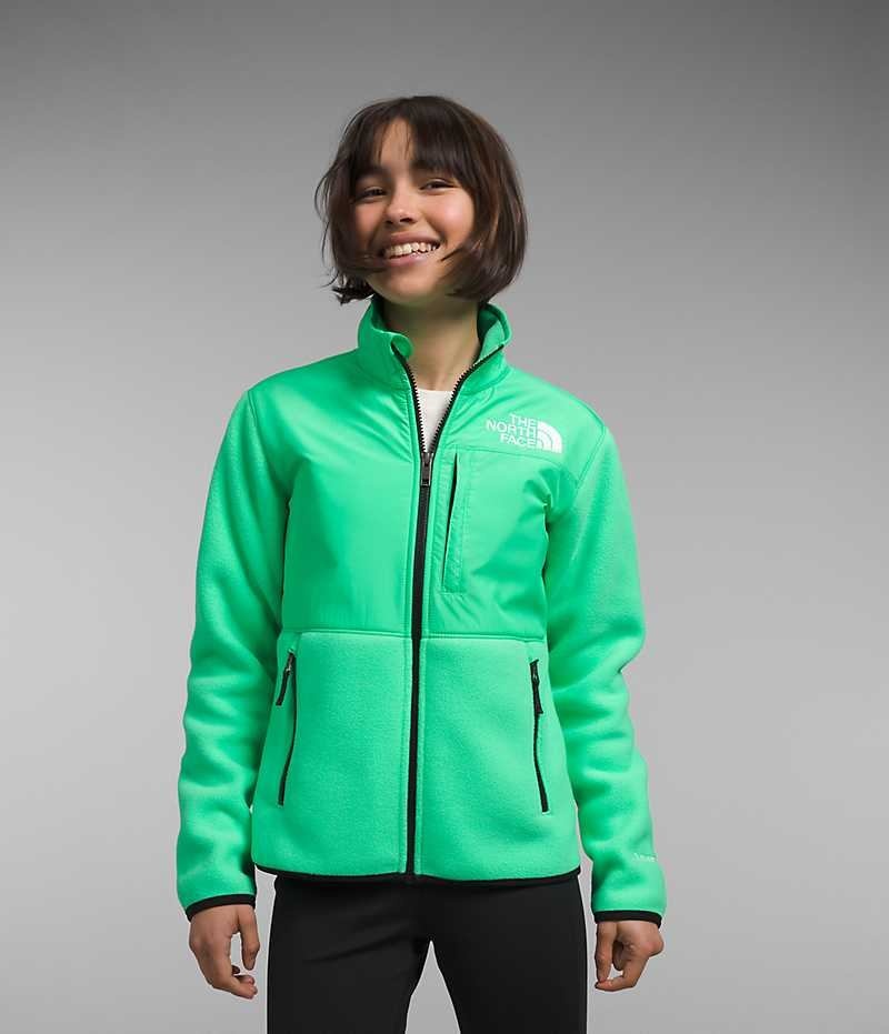 Green Girls\'\' The North Face Denali Fleece Jacket | IRELAND BZXW