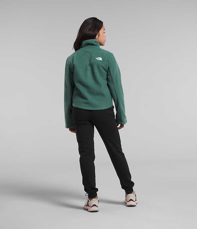 Green Girls'' The North Face Fleece Mashup Fleece Jacket | DUBLIN ATJY