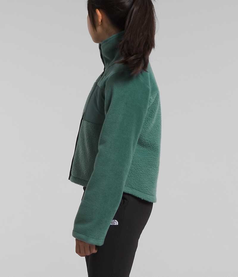 Green Girls'' The North Face Fleece Mashup Fleece Jacket | DUBLIN ATJY