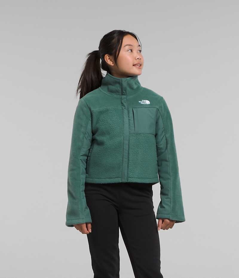 Green Girls\'\' The North Face Fleece Mashup Fleece Jacket | DUBLIN ATJY