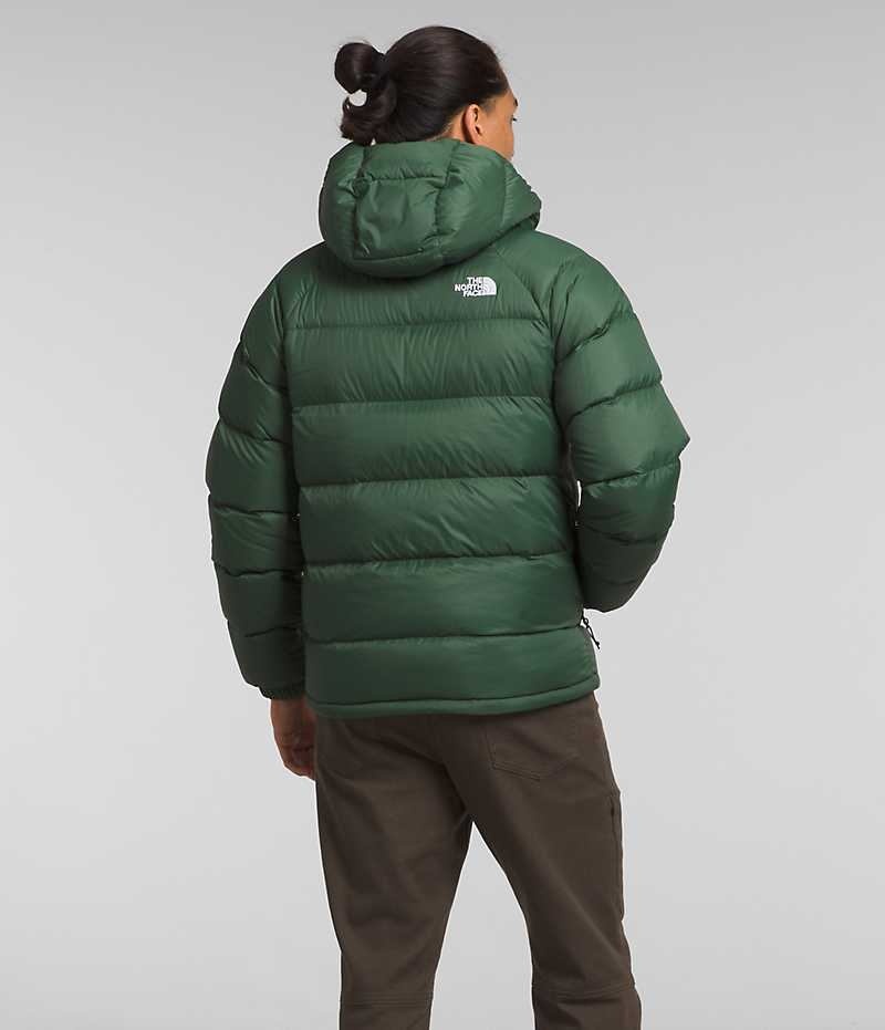 Green Men's The North Face Hydrenalite™ Hoodie Puffer Jacket | IRELAND ASLX