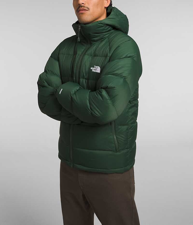 Green Men's The North Face Hydrenalite™ Hoodie Puffer Jacket | IRELAND ASLX