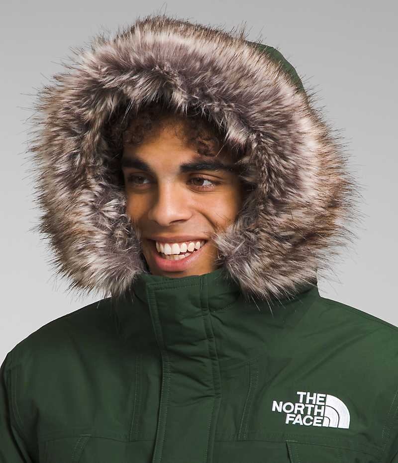 Green Men's The North Face McMurdo Coat | IRELAND AETR